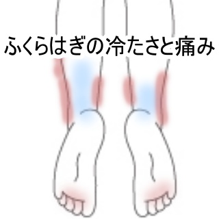 ふくらはぎの冷感と痛重い感覚 脚の重だるさのツボ ツボネット 鍼灸の症例が検索できるツボ辞典