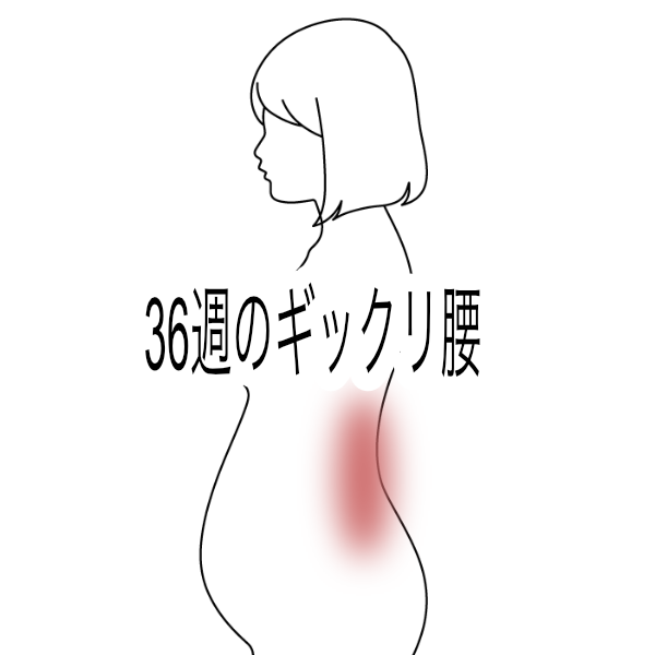36週の妊婦さんのぎっくり腰 妊娠中の腰痛 ぎっくり腰のツボ ツボネット 鍼灸の症例が検索できるツボ辞典