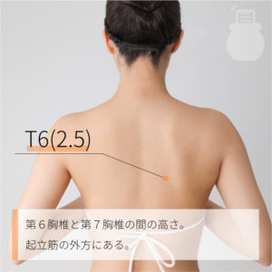 T8(2.5)（）03