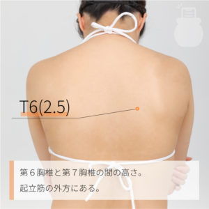 T8(2.5)（）02