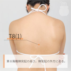T8(1)（）02
