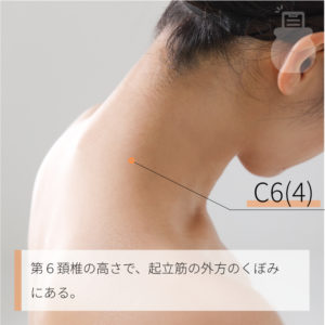 C6(4)（）03