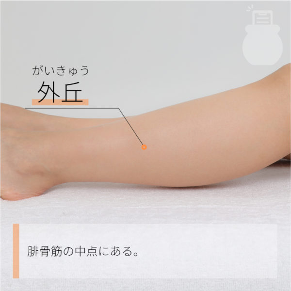 外丘 がいきゅう｜ツボの場所と効果｜ツボネット 鍼灸の症例が検索できるツボ辞典