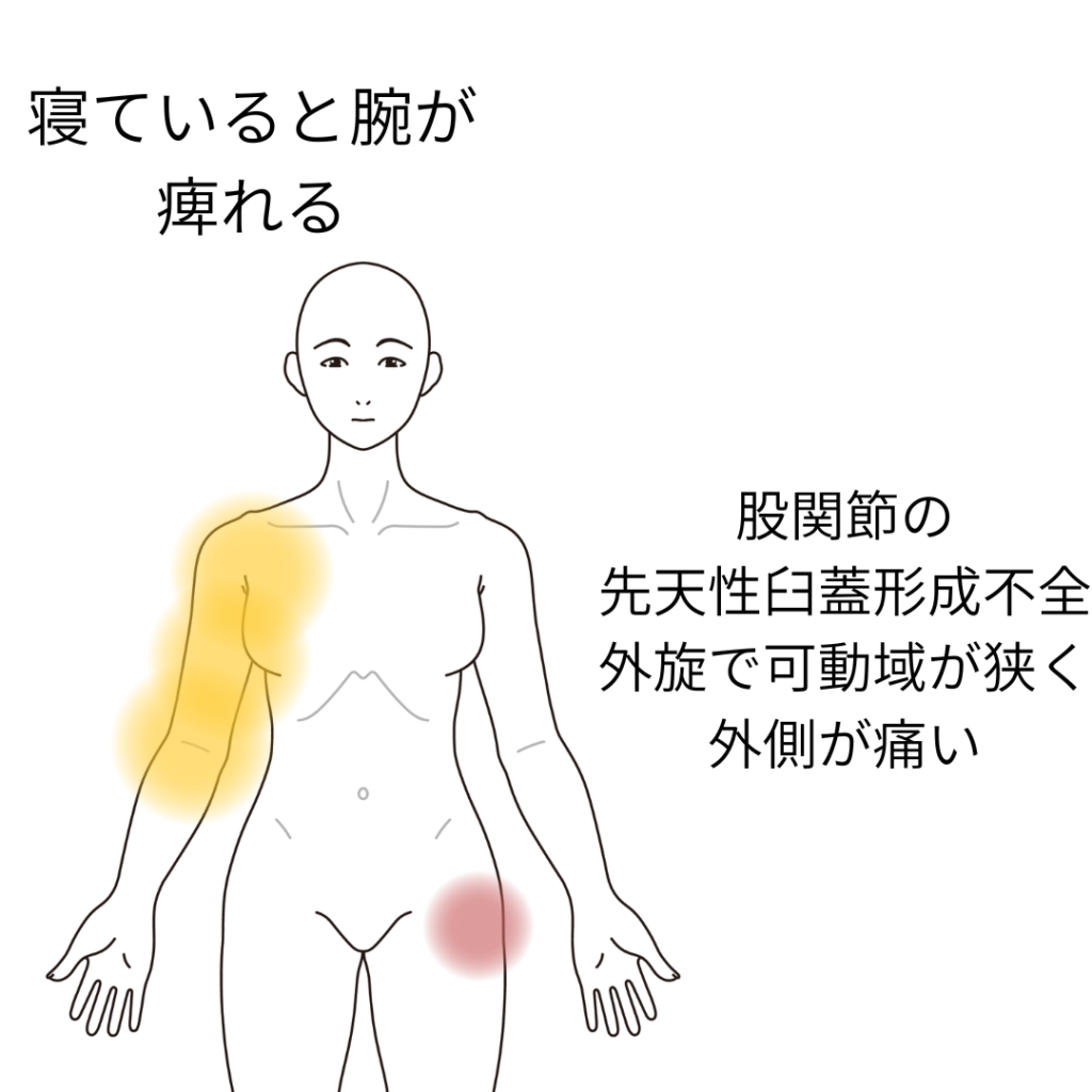 0a6d817ecf727a277713c28f57761f