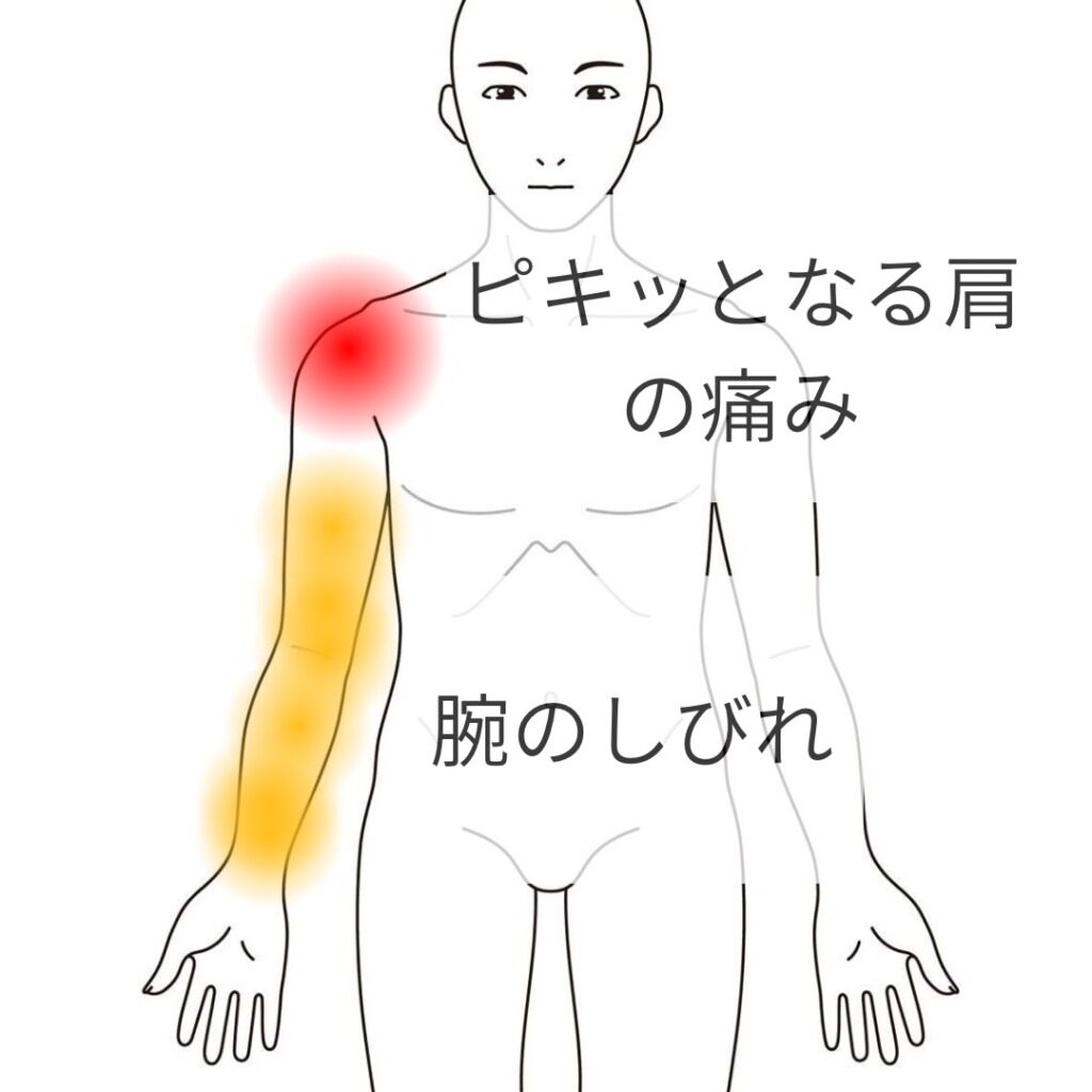 a4e8f370cde05504f778f946d2f462