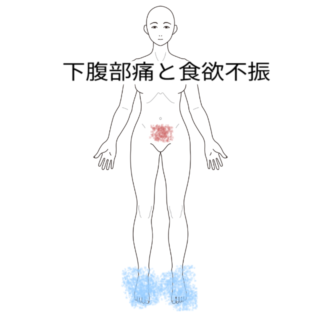 鍼灸の症例「下腹部痛と食欲不振」(小田急線 栢山駅)