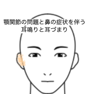 鍼灸の症例「顎関節の問題と鼻の症状を伴う耳鳴りと耳づまり」(JR品川駅/東京都品川区)