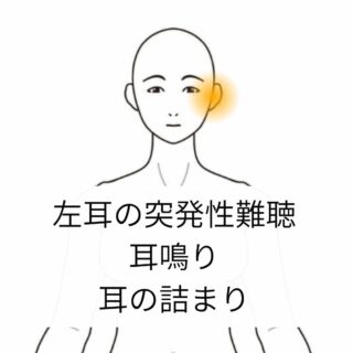 鍼灸の症例「突発性難聴・耳鳴り・耳の詰まり」(世田谷区 三軒茶屋駅)