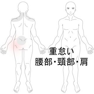 鍼灸の症例「全身の重だるさと腰痛で仕事に支障をきたす状態」（東室蘭駅）