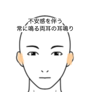 鍼灸の症例「不安感を伴う常に鳴る両耳の耳鳴り」（JR品川駅／東京都品川区）
