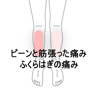 鍼灸の症例「つま先立ちができないふくらはぎの張りと痛み」（東室蘭駅）