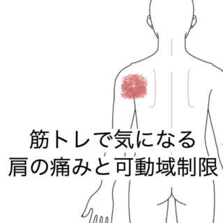 鍼灸の症例「筋トレで気になる肩の痛みと可動域制限」（群馬県伊勢崎市）
