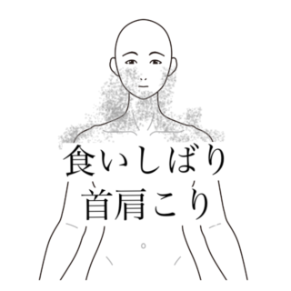 鍼灸症例｜首肩こりと食いしばり・睡眠の乱れ｜清澄白河｜鍼灸院ひなた　清澄白河